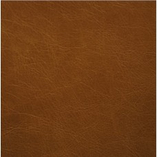 Aerosol Leather Sealant - Tan - Shadow Top Colour For Two Tone Leather